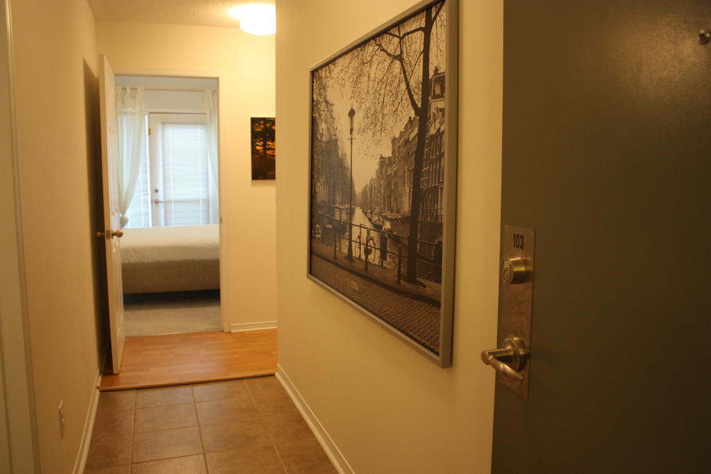 Accurate Plus Furnished Apartment- Brickstone Mews 密西沙加 客房 照片